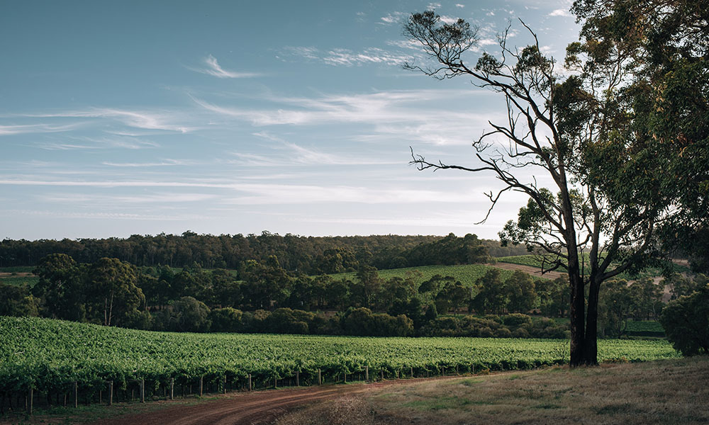 Where to eat, stay and play in Margaret River